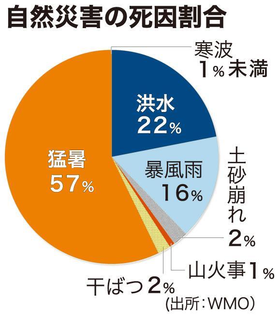 自然災害の死因割合