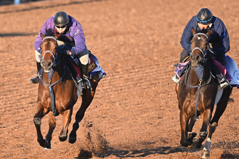 重賞含む２戦２勝のブラウンラチェット（左）。あのフォーエバーヤングの半妹だ