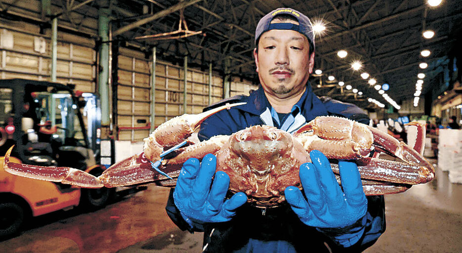 今季初めて「輝」に認定されたズワイガニ＝１５日午後９時半、金沢市のかなざわ総合市場