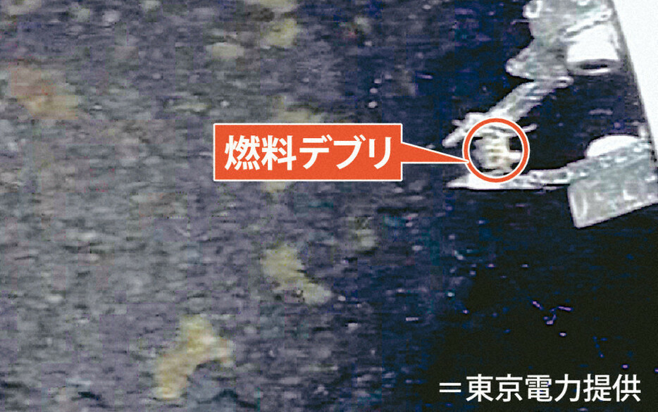 福島第1原発の燃料デブリ＝東京電力提供