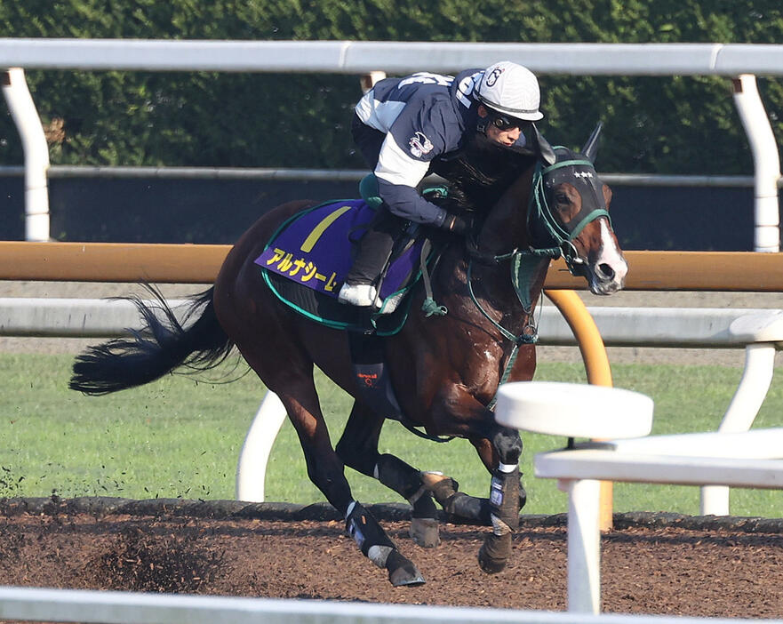 藤岡佑騎手を背にCウッドで追い切るアルナシーム