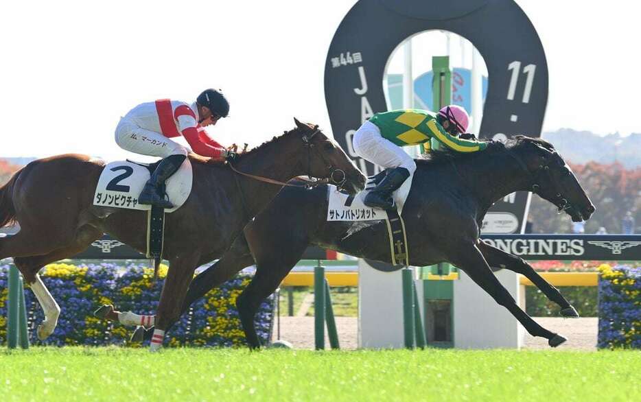 東京5Rの新馬戦を制したサトノパトリオット　＝17日、東京競馬場（撮影・奈良武）