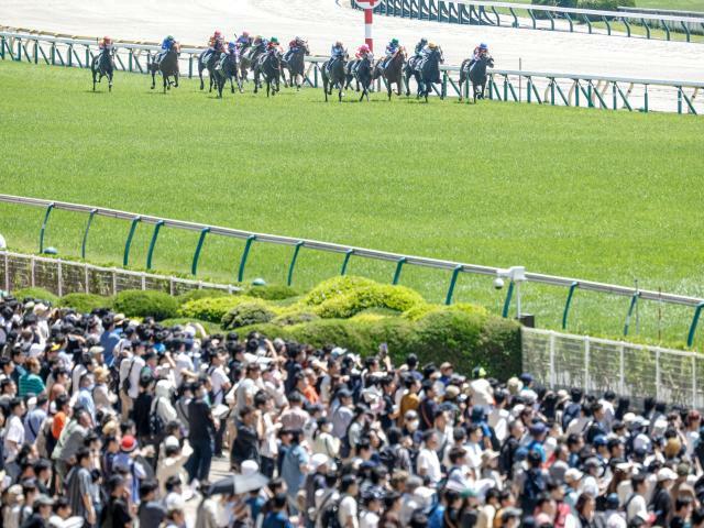 レースが行われる東京競馬場(写真はイメージ、撮影：下野雄規)