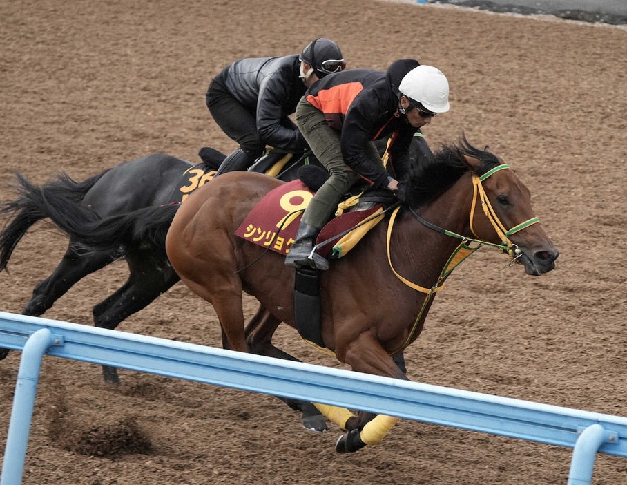 ウッドチップコース、併せ馬で追い切るシンリョクカ（手前）（撮影・郡司修）