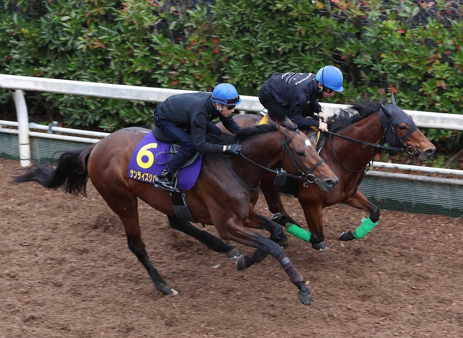 武豊騎手を背に坂路をラキエータ（右）と併せ馬で追い切るサンライズジパング