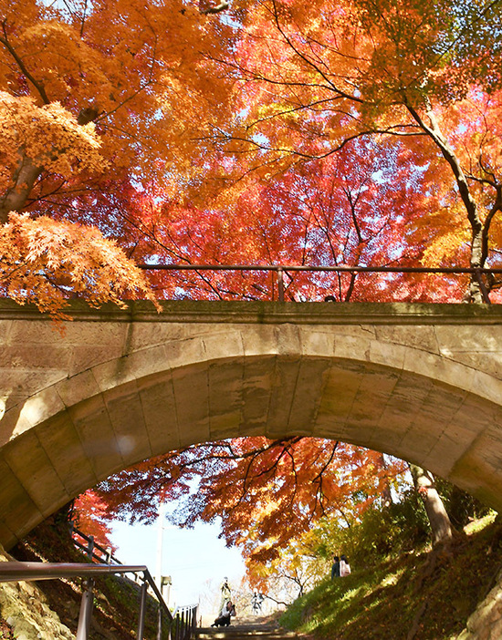 洋風石造りのアーチ橋周辺などで紅葉が見頃を迎えている烏帽子山公園＝南陽市