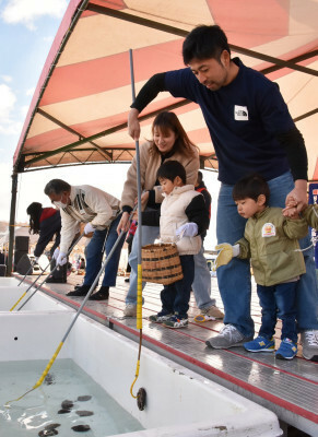 懸命にアワビを採る家族連れ