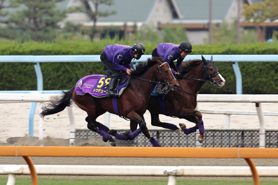 DPコース併せ馬で仕上げられたドウデュース（左、カメラ・高橋　由二）