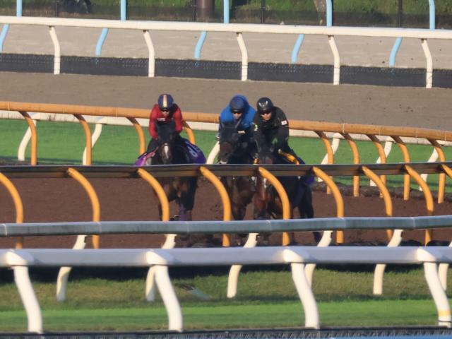 今週デビュー予定のアークシャルダーム(写真左、撮影：井内利彰)