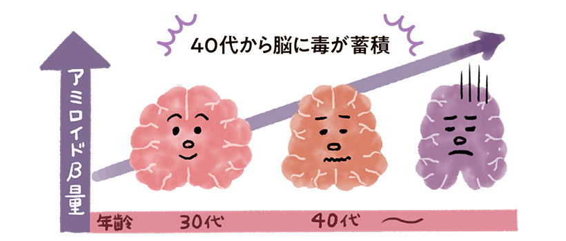 不健康な食生活やス卜レスなどにより、40代からアミロイドβが蓄積。