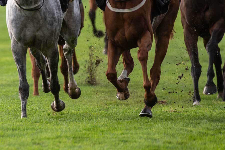 欧州競馬であわや大惨事の事件が発生（写真はイメージです）【写真：Getty Images】