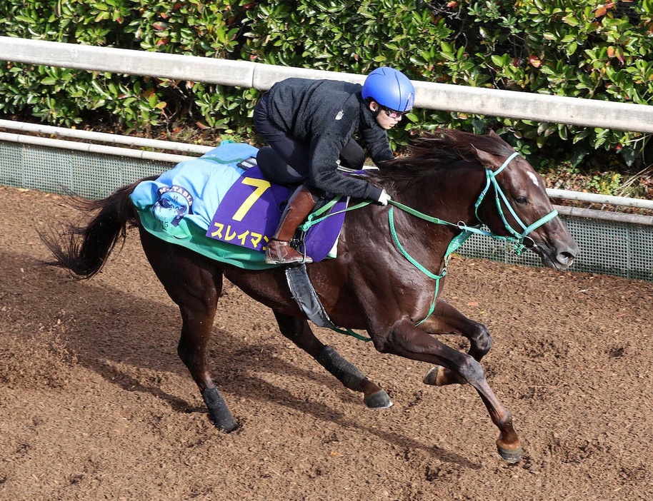 斎藤新を背に坂路を単走で追い切るスレイマン