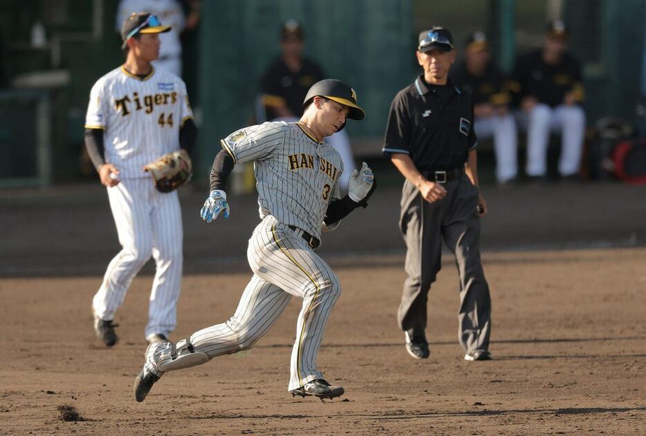 6回、二点適時三塁打を放った紅組・栄枝裕貴＝安芸市営球場（撮影・根本成）