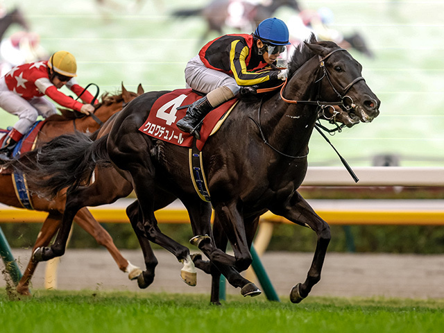 クロワデュノールが重賞初制覇(撮影：下野雄規)