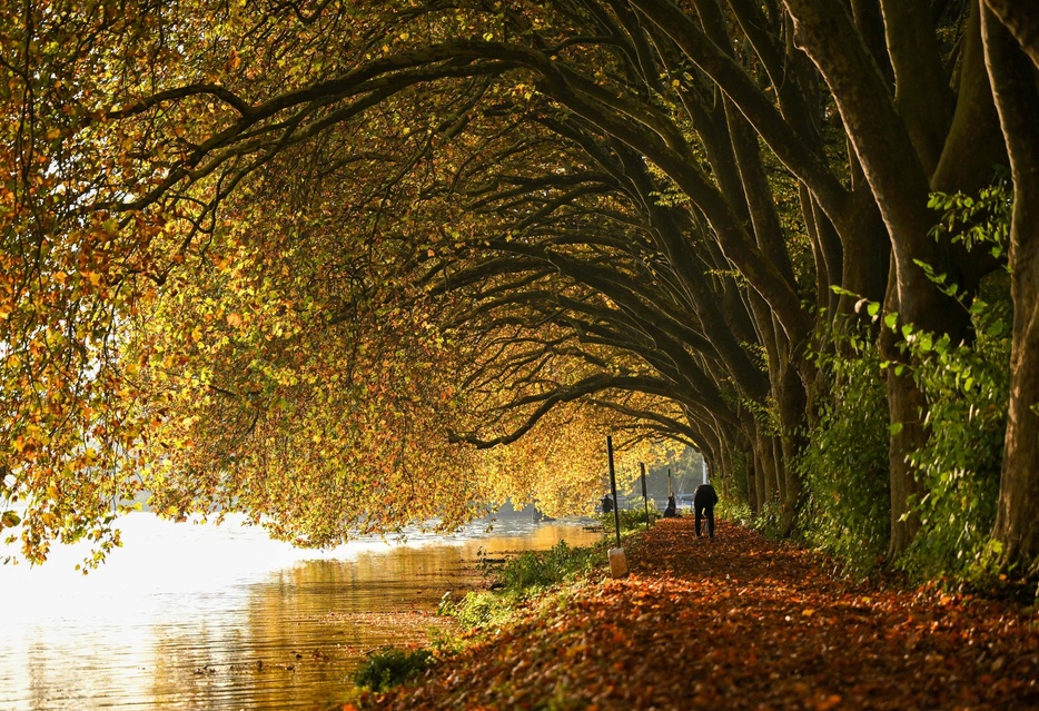 ドイツ西部エッセンにあるバルデナイ湖で、紅葉した木々の下でカメラをセットする男性（2024年10月25日撮影）。【翻訳編集】 AFPBB News