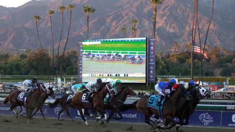 ブリーダーズカップマイルが日本時間3日にデルマー競馬場で行われる