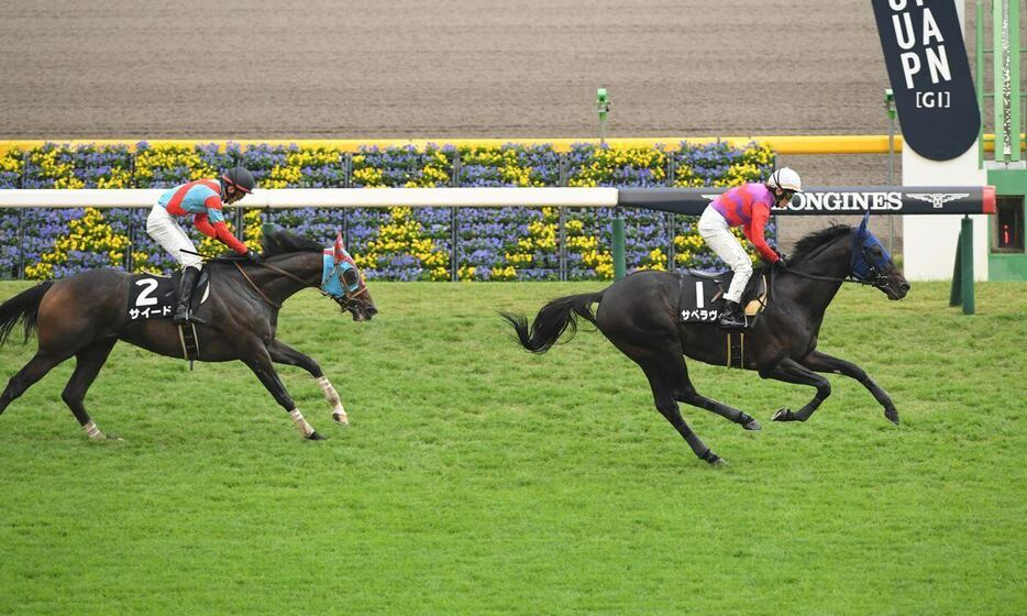 秋陽ジャンプSを制したサペラヴィ　＝2日、東京競馬場（撮影・奈良武）