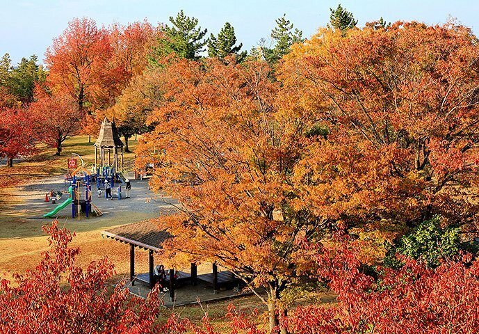 広場を囲むように公園を彩る木々