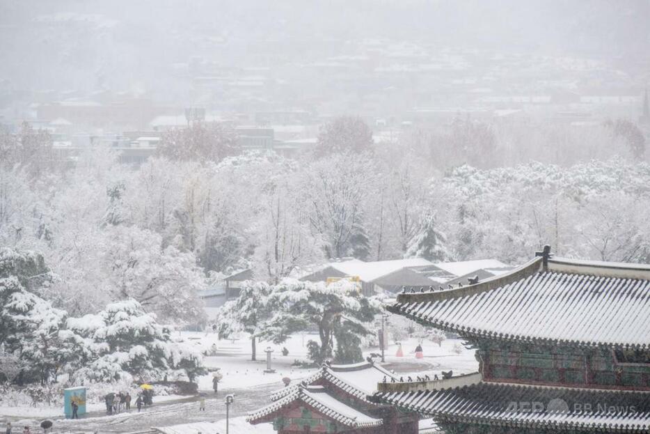 雪に覆われた韓国・ソウルの景福宮（2024年11月27撮影）。【翻訳編集】 AFPBB News