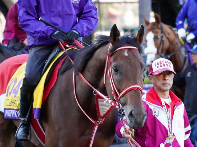 フォーエバーヤング　Eclipse Sportswire / Breeders’ Cup Photos(c)