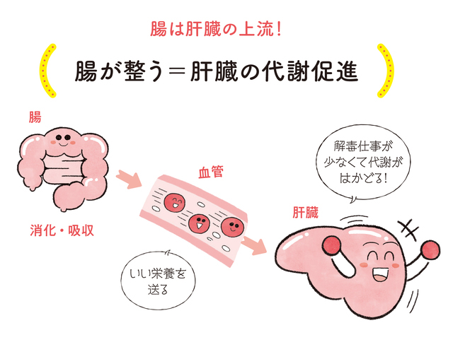 『肝臓から脂肪を一掃！ 医者が飲むやせみそ汁』(ワニブックス刊)