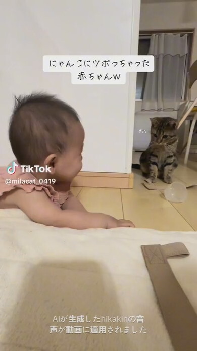 猫ちゃんを見て笑ってしまう赤ちゃん