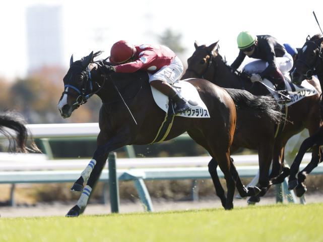 新馬戦を制したヴィヴァラリス(撮影：下野雄規)