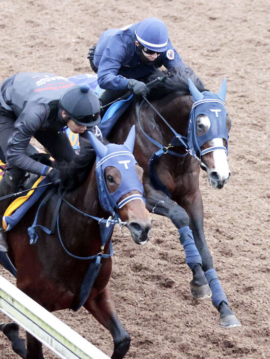 坂路コースで追い切ったアルビージャ（右）、左はスムースベルベット（カメラ・荒牧　徹）