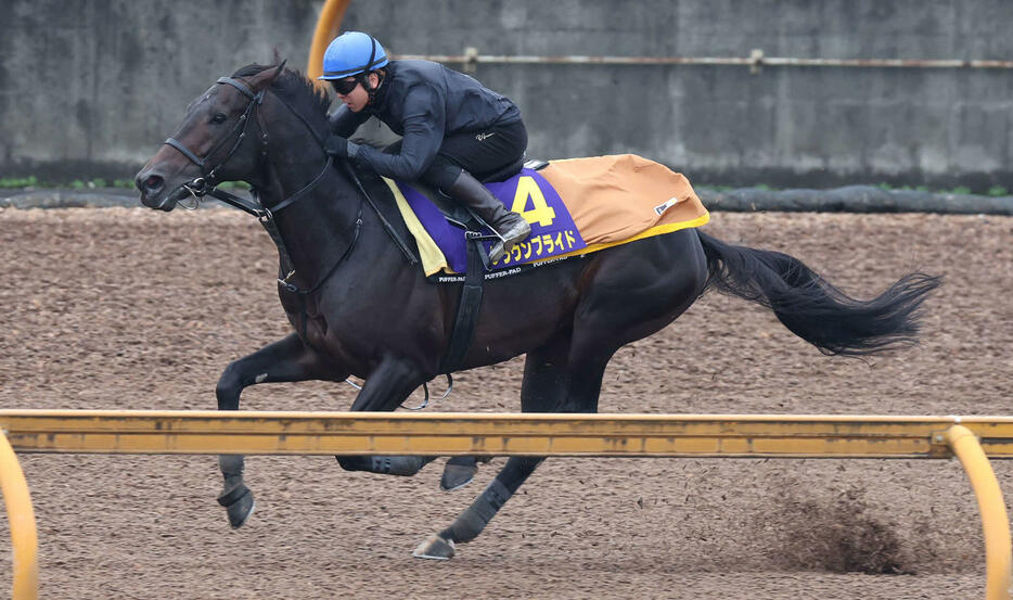 CWコースで追い切るクラウンプライド