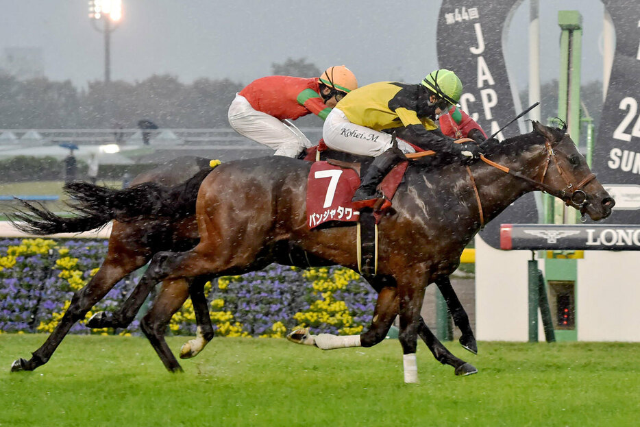 京王杯２歳Ｓ勝ちのパンジャタワーは朝日杯ＦＳへ