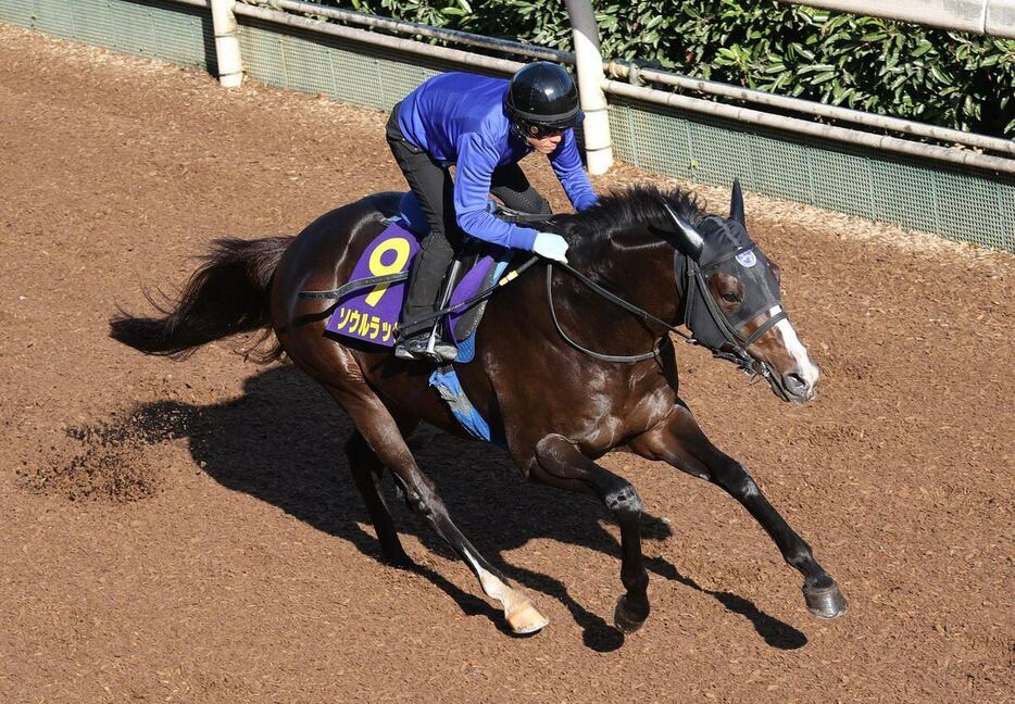 ソウルラッシュ＝栗東トレセン（撮影・安部光翁）