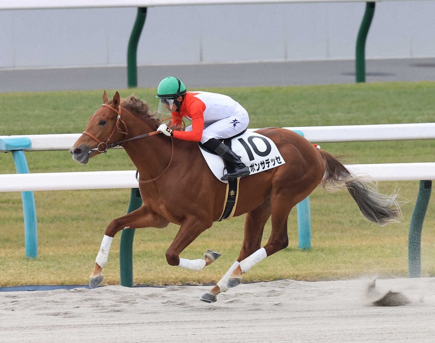 ＜京都4R＞新馬戦を制した制したセボンサデッセ（撮影・中辻　颯太）