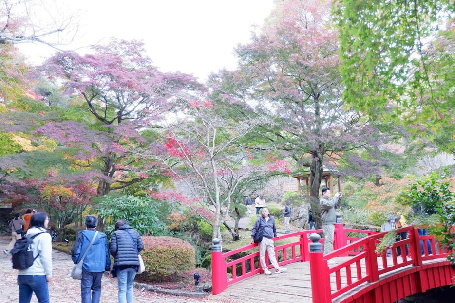 色づき始めた紅葉を見る来場者