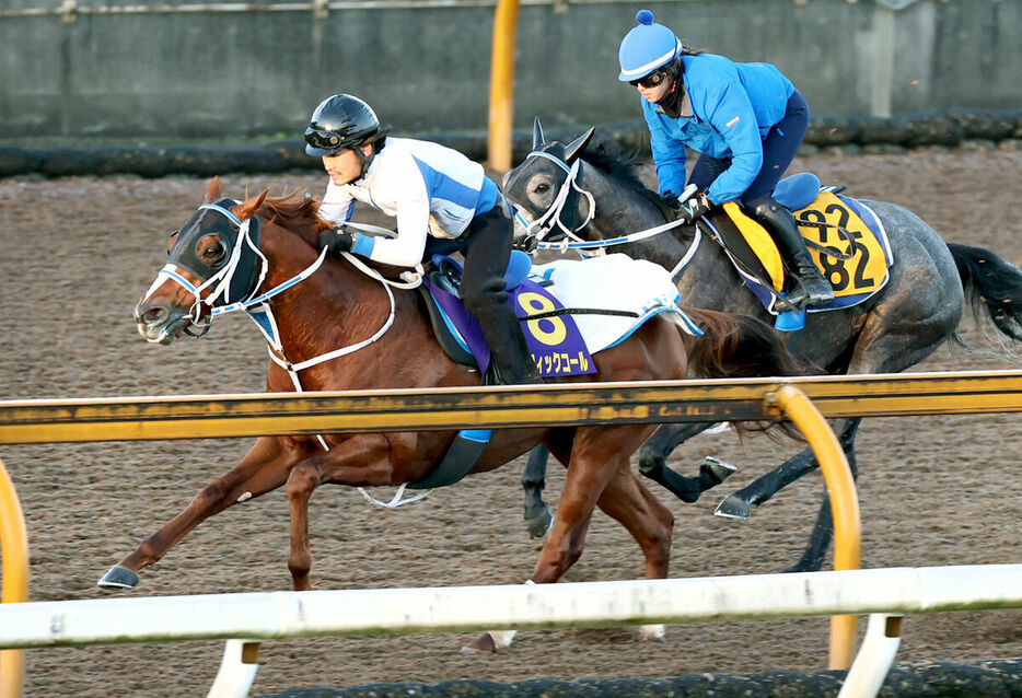 併せ馬で追い切るセラフィックコール（左）