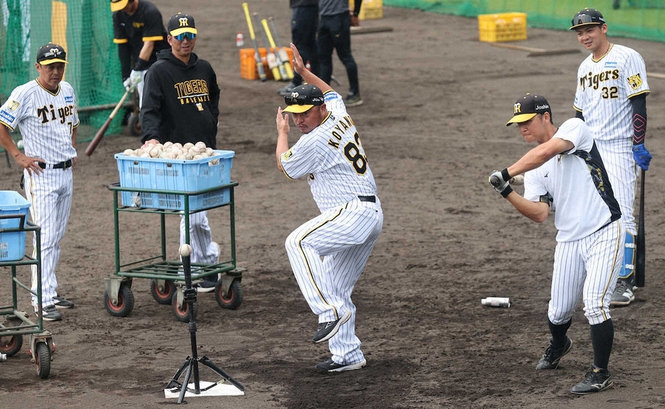 ロングティーで身ぶりをまじえて指導する小谷野コーチ（中央）（左から2人目は藤川監督）（撮影・椎名　航）