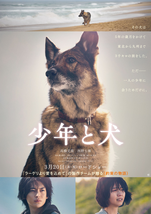 高橋文哉&西野七瀬のW主演で映画化『少年と犬』（2025年3月20日公開） （C）2025映画「少年と犬」製作委員会