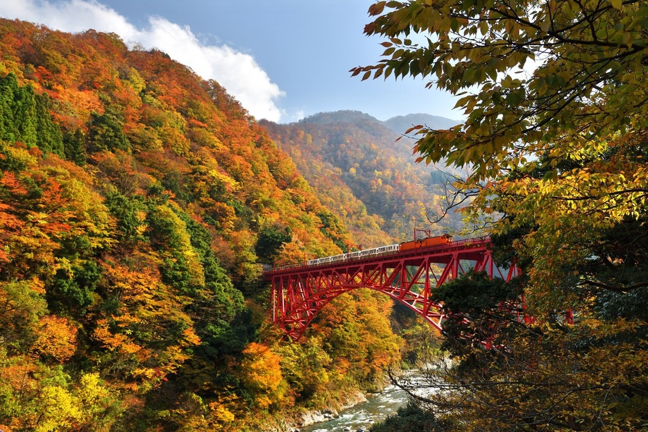 見頃の紅葉名所をピックアップ(写真は黒部峡谷トロッコ電車の紅葉)