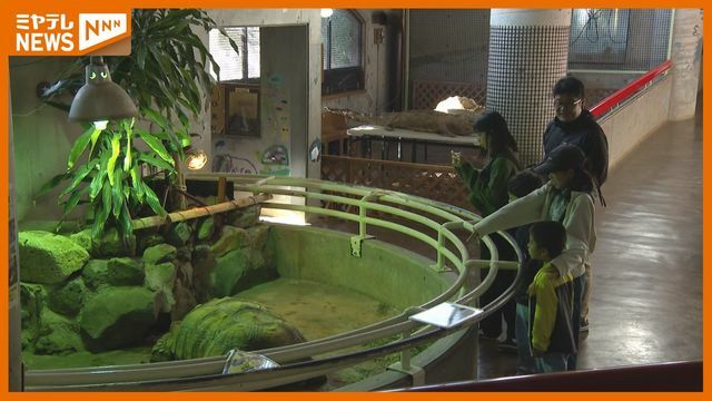 八木山動物公園　は虫類館