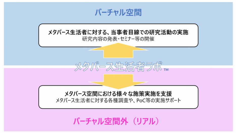 メタバース生活者ラボが実施すること