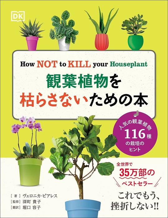 鉢植え栽培の超基本ガイド