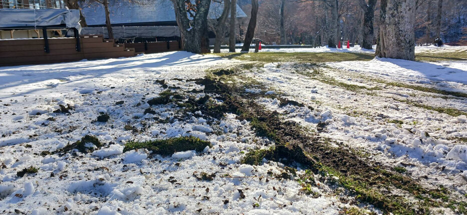 タイヤの痕で荒らされた芝生＝雪が残る２５日、千歳市（自然公園財団支笏湖支部提供）