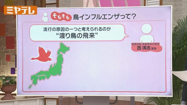 ミヤギテレビ