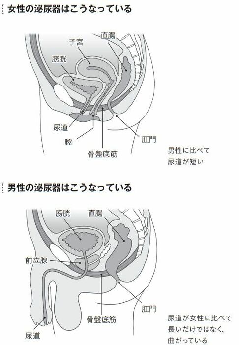 ＜『頻尿・尿もれ自力でできるリセット法』より＞