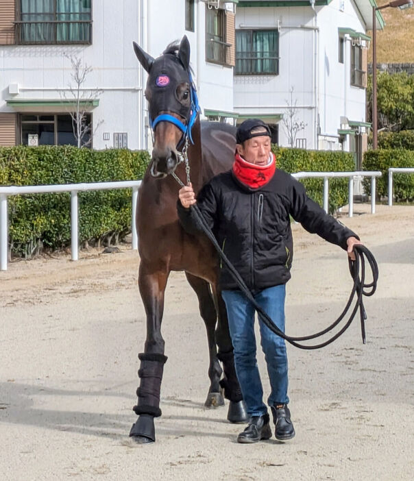 ウィルソンテソーロが中京競馬場に到着（カメラ・山本　武志）