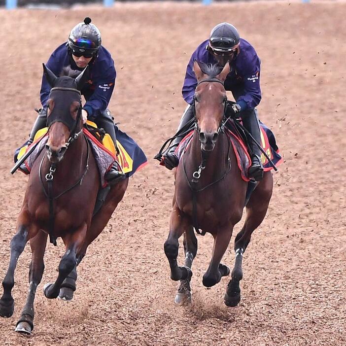 　美浦Ｗ併せで追い切ったレガレイラ（右）＝撮影・園田高夫