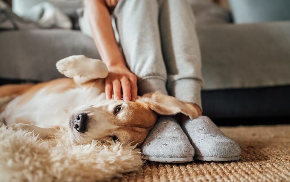 ※写真はイメージです - 写真＝iStock.com／Solovyova