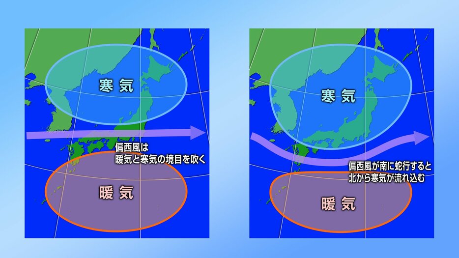 テレビ高知