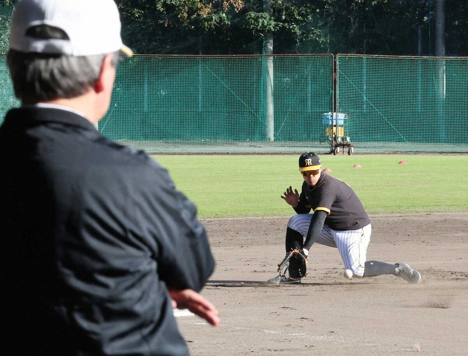 ＜阪神秋季キャンプ＞杉山オーナー（左）の前で特守に励む佐藤輝（撮影・大森　寛明）