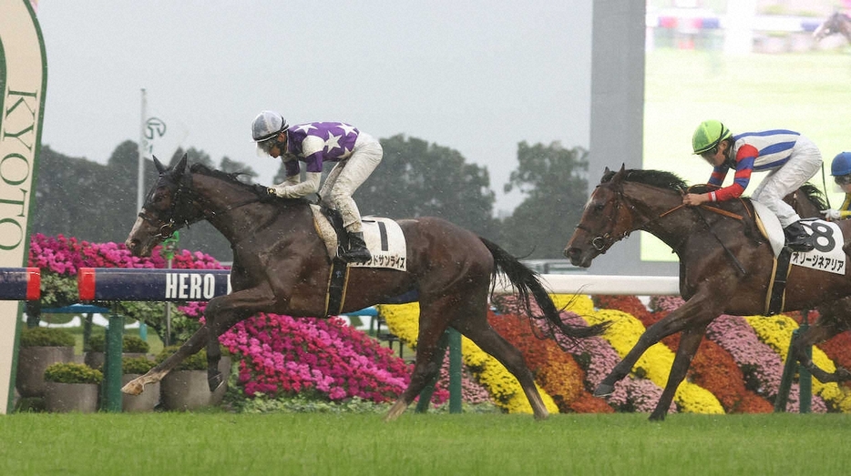 内から抜け出し勝利するサウンドサンライズ（撮影・亀井　直樹）　