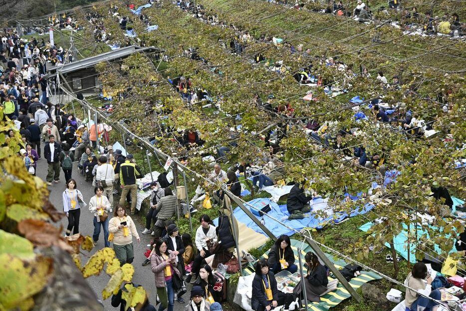 県内外から多くの来場者が訪れた収穫祭